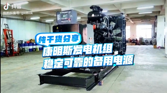 「視頻」如何應(yīng)對夏天斷電危機(jī)？640KW康明斯發(fā)電機(jī)組助您輕松應(yīng)對挑戰(zhàn) 